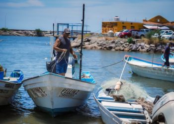 Sinaloa, entre las cinco entidades con mayor crecimiento económico en México en el primer semestre de 2025.-