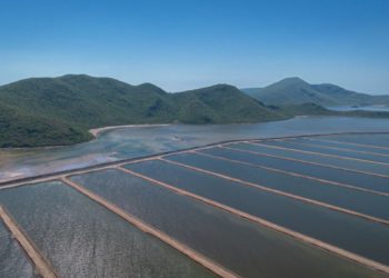 Publican acuerdo para permisos de siembra y notificación de cosecha en unidades acuícolas de Sinaloa