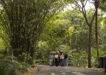 Recorridos nocturnos para conectar con la naturaleza, Cine al Aire Libre y literatura, los imperdibles de Marzo en Jardín Botánico Culiacán