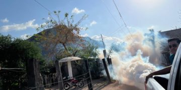 Vicente Pico regidor fortense impulsa campaña de fumigación en sindicaturas