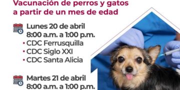 Campaña de Vacunación Antirrábica en Ahome