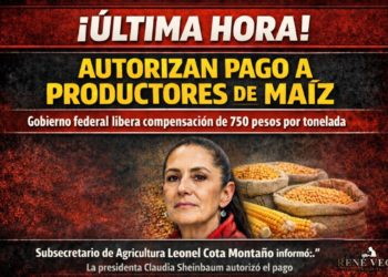 AUTORIZAN PAGO A PRODUCTORES DE MAÍZ