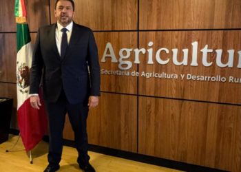 Reabre SADER ventanilla para pago a productores de maíz en Sinaloa, anuncia Ismael Bello Esquivel