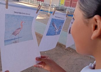 Promueven en La Reforma el cuidado de las aves migratorias y la conservación de Bahía Santa María