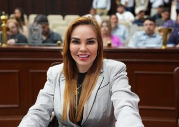 Morena y sus aliados han construido una nueva casta de privilegiados: Paola Gárate