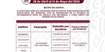Convocatoria abierta para productores!