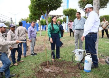 Reforestan Ciudad Universitaria: la UAS, a través de la UBU y Construcción y Mantenimiento planta 33 árboles