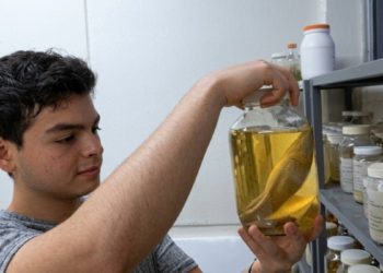 Fortalece la UAS vinculación internacional con estancia de estudiante de la Universidad del Quindío, Colombia