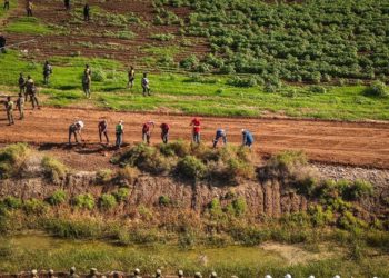 Gobernadora Yeraldine Bonilla pone en marcha en Sinaloa la Jornada Nacional de Reforestación, durante enlace nacional con la presidenta Claudia Sheinbaum
