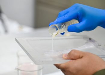 Científicos de la UAS desarrollan biopelículas comestibles a base de plantas regionales