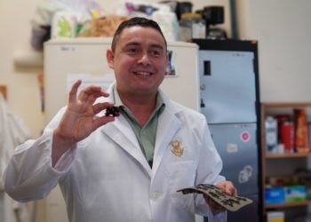 Desarrolla investigador de la UAS gomitas funcionales a base de subproductos de betabel