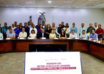 Acuerdan acciones contra importación ilegal de camarón en Sinaloa