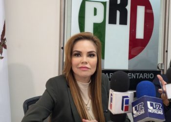 Disminución de la población masculina joven por la crisis de violencia exige plan de reconstrucción social: Paola Gárate