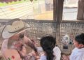 Niñas y niños de Casa Hogar Santa Eduwiges disfrutan experiencia de convivencia con animales en Pet Farm