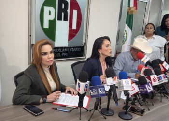 Disminución de la población masculina joven por la crisis de violencia exige plan de reconstrucción social: Paola Gárate