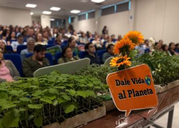 Promueve la UAS azoteas verdes y jardines sustentables desde el hogar